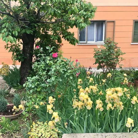 Iris Abano Terme